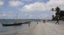 Mafia - Chole Bay