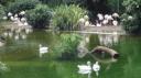 Kowloon - Kowloon Park