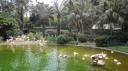 Kowloon - Kowloon Park