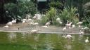 Kowloon - Kowloon Park