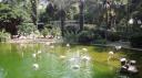 Kowloon - Kowloon Park
