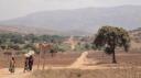 Mbeya