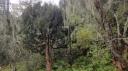 Huanglong Nationaal Park