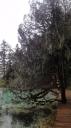 Huanglong Nationaal Park