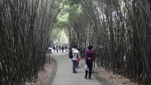 Chéngdū - Reuze Panda Broed Research Basis