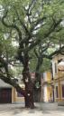 Macau Schiereiland