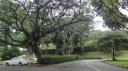 Singapore - Fort Canning Park