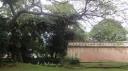 Singapore - Fort Canning Park