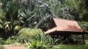 Singapore - Fort Canning Park
