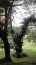 Singapore - Fort Canning Park