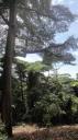 Singapore - Mt Faber