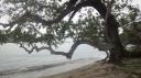 Pulau Pangkor - Pasir Bogak