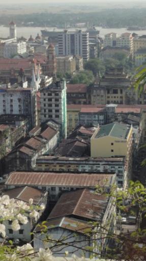 Yangon - Sakura Toren
