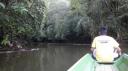 Gunung Mulu Nationaal Park - Sungai Melinau