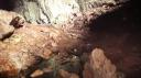 Gunung Mulu Nationaal Park - Deer Cave