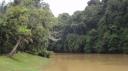 Niah Caves Nationaal Park