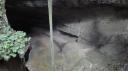 Niah Caves Nationaal Park