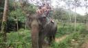 Ko Lanta - Ritje op een olifant