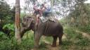 Ko Lanta - Ritje op een olifant