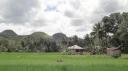 Bohol