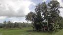 Bohol