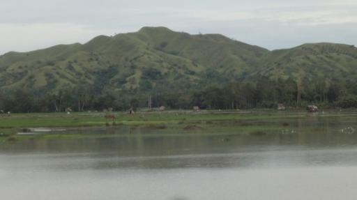 Bohol