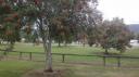Te Anau - Te Anau Meer