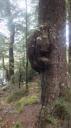 Te Anau-Milford Snelweg - Spiegel Meren