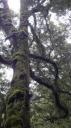 Te Anau-Milford Snelweg - Kloof Wandeling