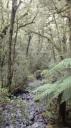 Te Anau-Milford Snelweg - Kloof Wandeling