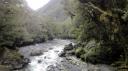 Te Anau-Milford Snelweg - Kloof Wandeling