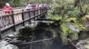 Te Anau-Milford Snelweg - Kloof Wandeling