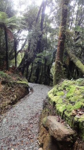Franz Josef - Canavan’s Knob Wandeling
