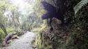 Franz Josef - Canavan’s Knob Wandeling