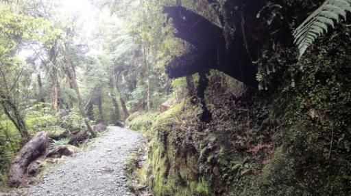Franz Josef - Canavan’s Knob Wandeling