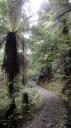 Franz Josef - Canavan’s Knob Wandeling
