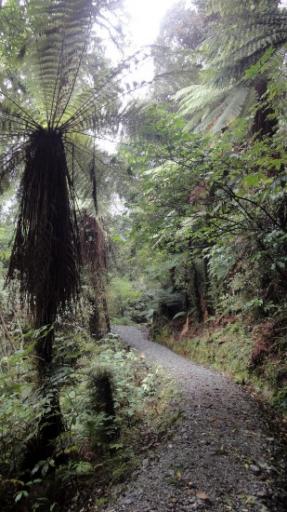 Franz Josef - Canavan’s Knob Wandeling