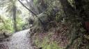 Franz Josef - Canavan’s Knob Wandeling