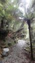 Franz Josef - Canavan’s Knob Wandeling