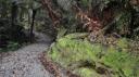 Franz Josef - Canavan’s Knob Wandeling