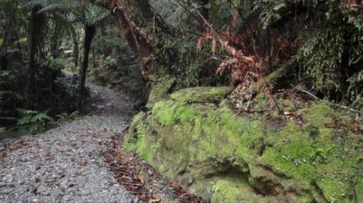 Franz Josef - Canavan’s Knob Wandeling