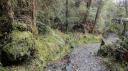 Franz Josef - Canavan’s Knob Wandeling