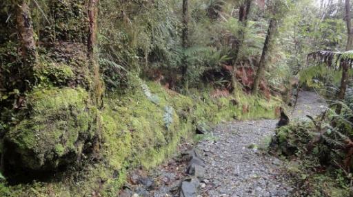 Franz Josef - Canavan’s Knob Wandeling