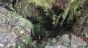 Franz Josef - Canavan’s Knob Wandeling