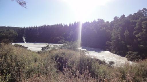 Wai-O-Tapu - Lichtgele Terrassen