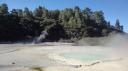 Wai-O-Tapu - Oester Poel