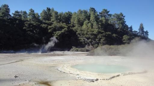 Wai-O-Tapu - Oester Poel