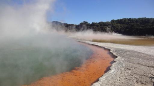 Wai-O-Tapu - Champagne Poel