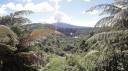 Waimangu - Panorama