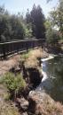 Rotorua - Kuirau Park